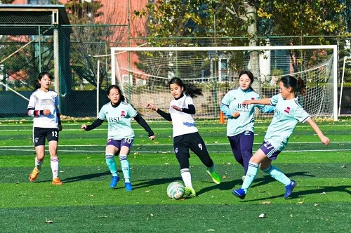 02ca9531192742a2bcd6972ea7870031.jpg